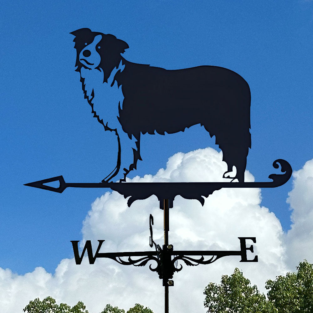 Border Collie Stainless Steel Weathervane