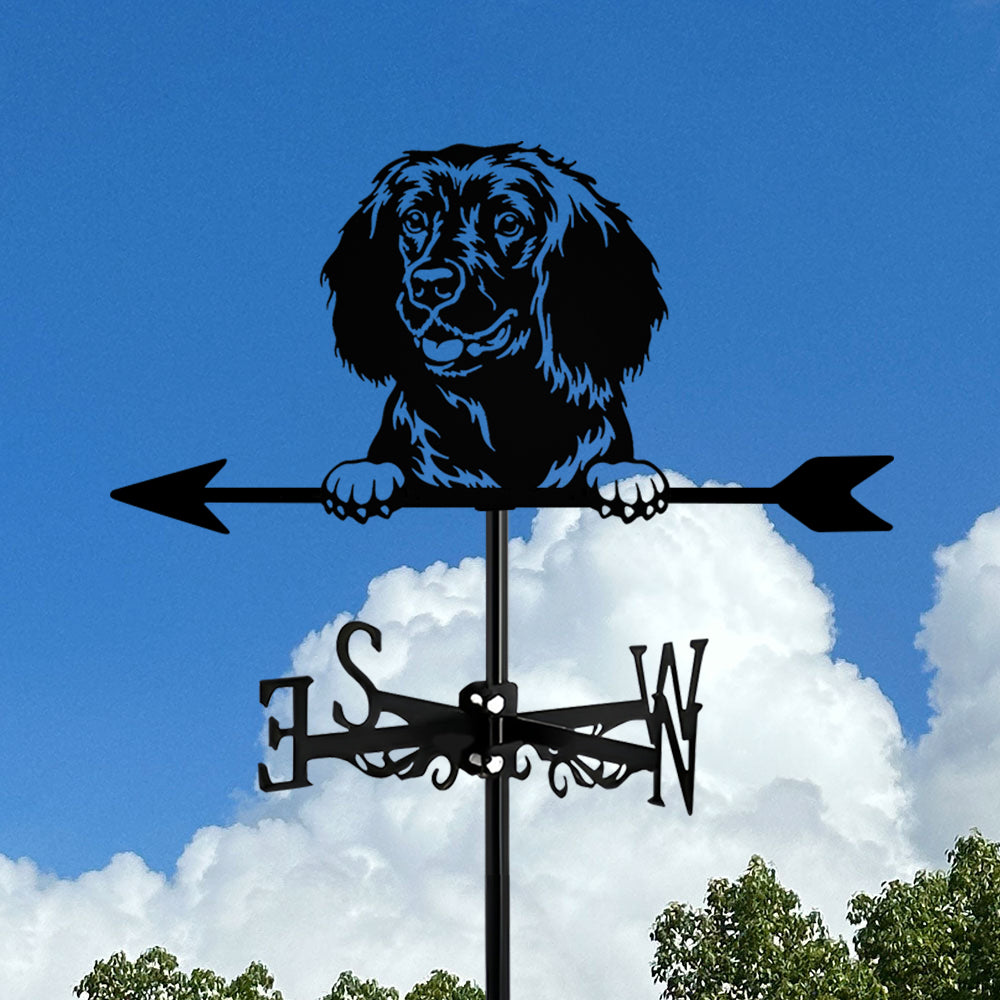 American Water Spaniel Dog Stainless Steel Weathervane