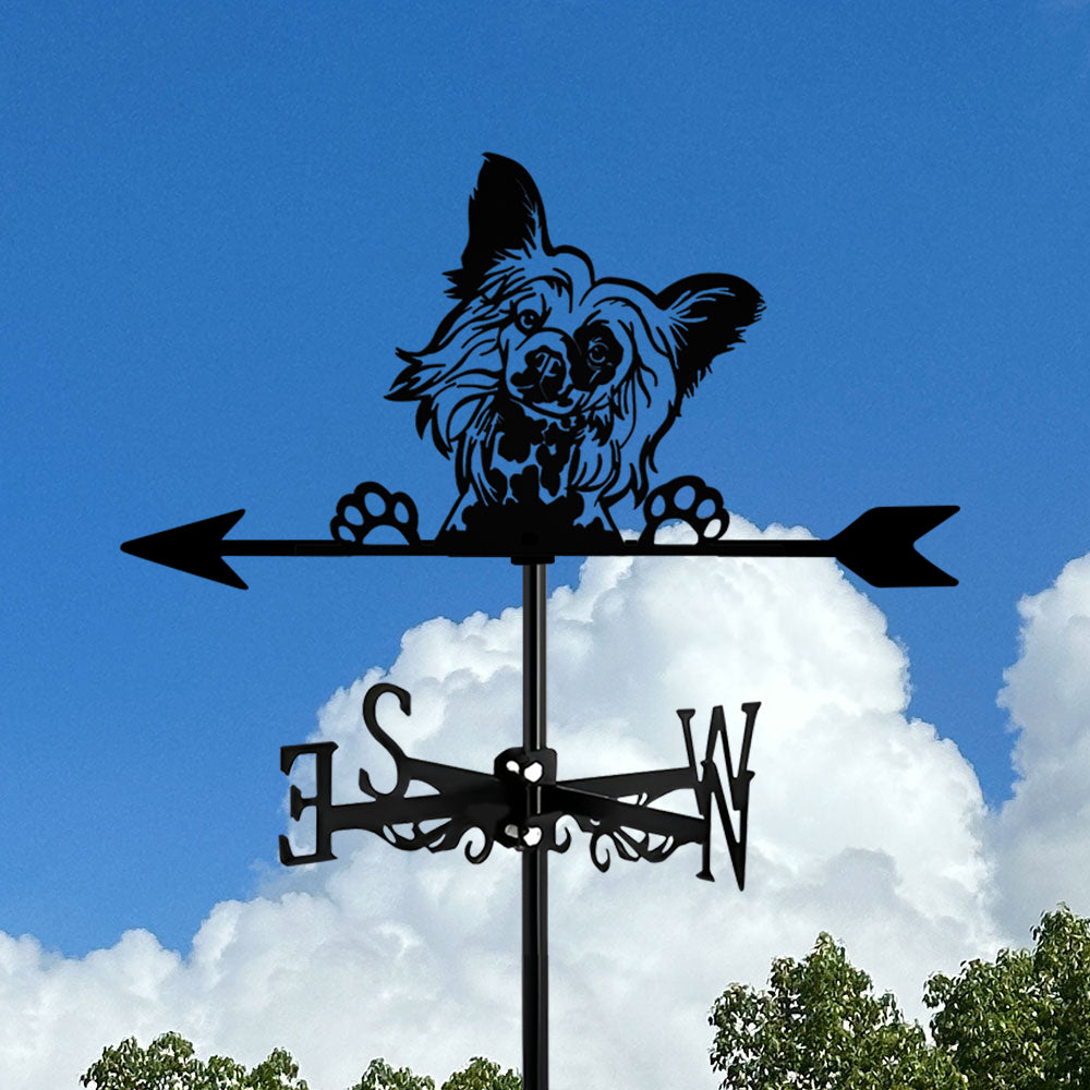Chinese Crested Dog Stainless Steel Weathervane
