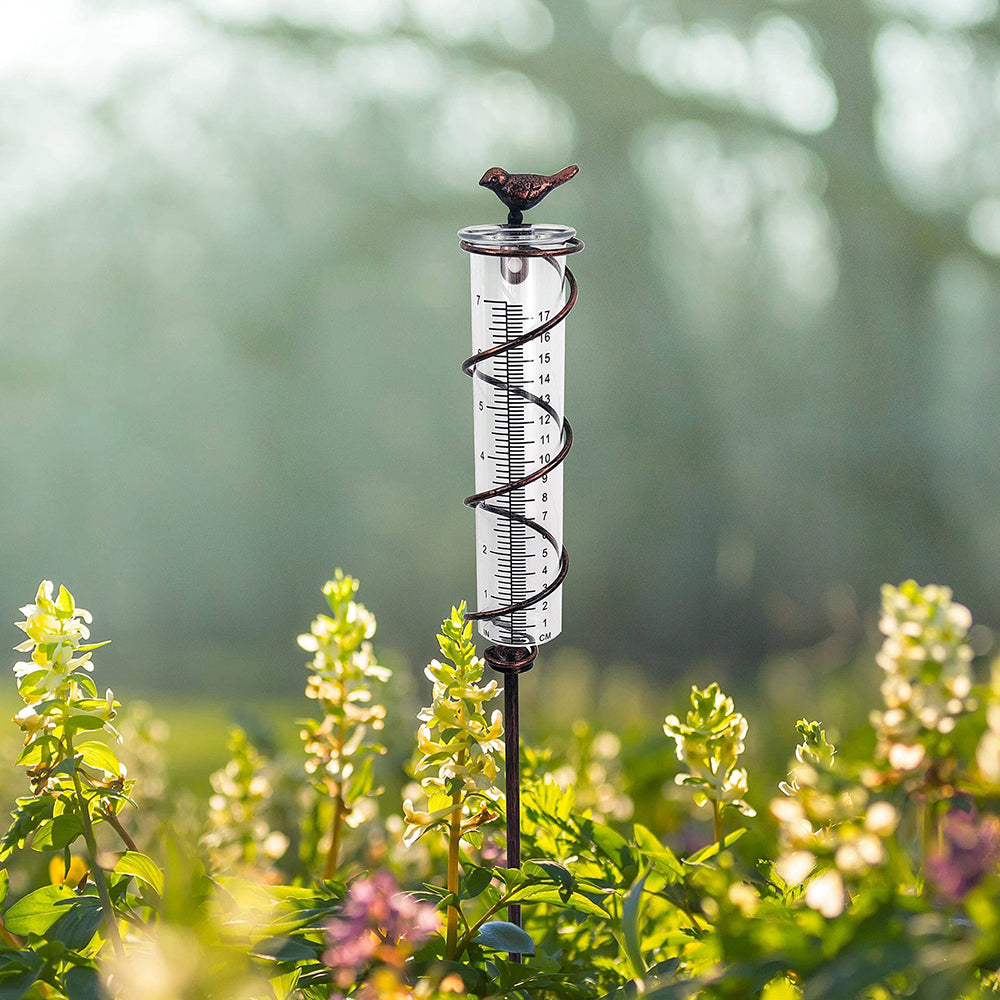 Bird Type Rain Gauge Outdoor Metal Garden Markers