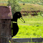 Duck Farm Peeping Animal Outdoor Metal Garden Art