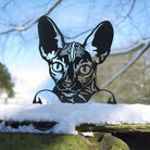 Hairless Cat Farm Peeping Animal Outdoor Metal Garden Art