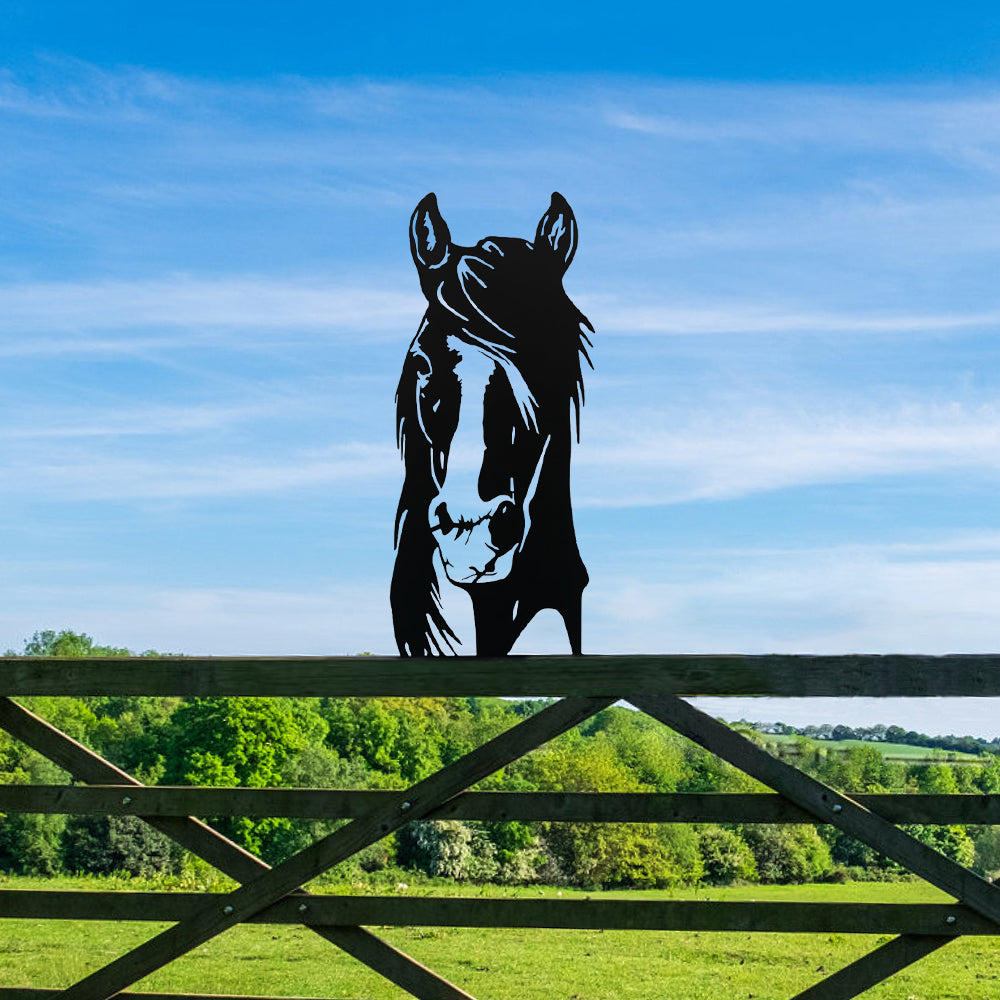 Horse Farm Peeping Animal Outdoor Metal Garden Art