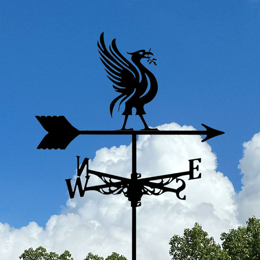 Liver Bird Stainless Steel Weathervane