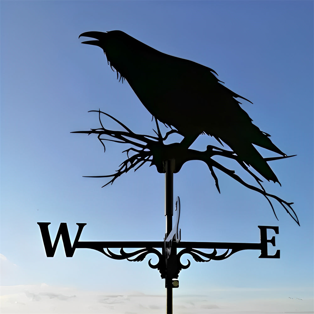 Crow Stainless Steel Weathervane