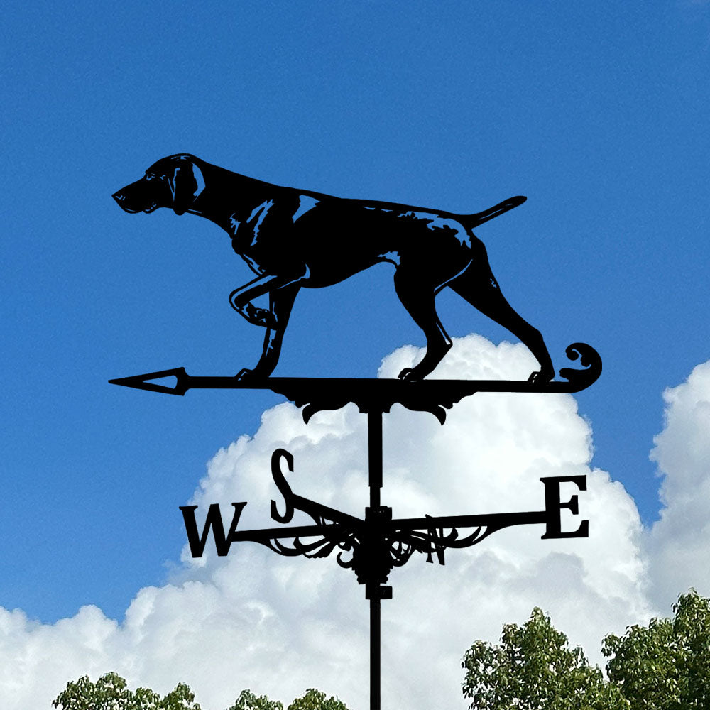 Whippet Dog Stainless Steel Weathervane