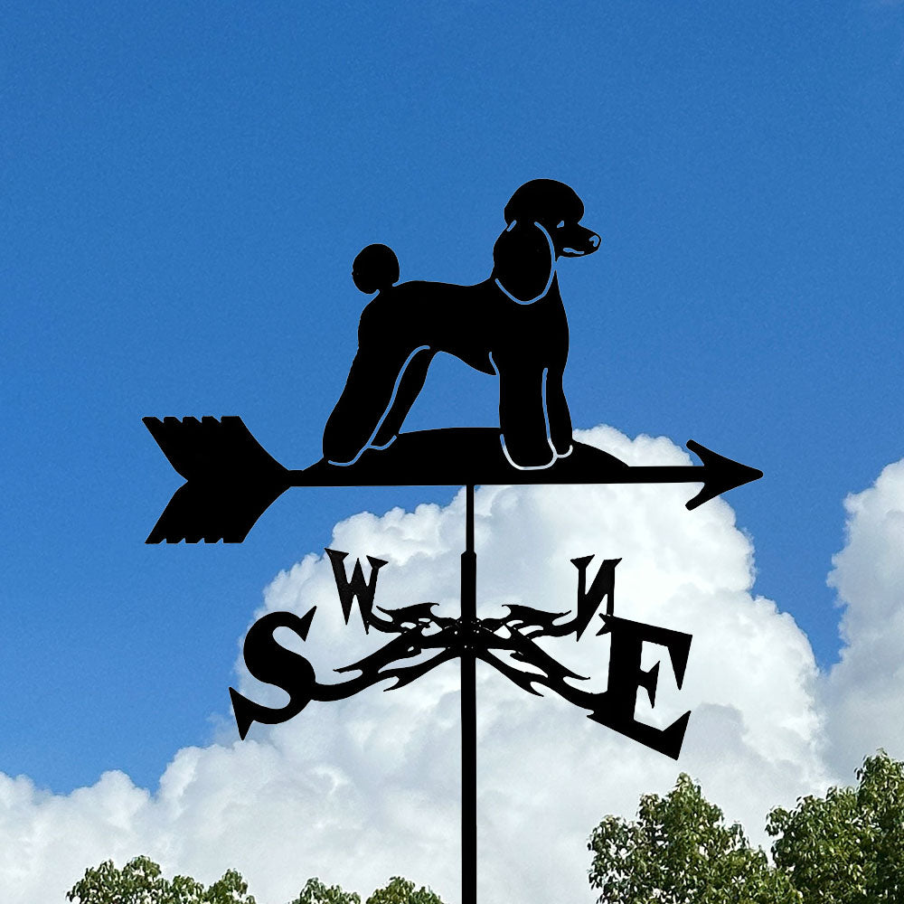 Poodle Stainless Steel Weathervane